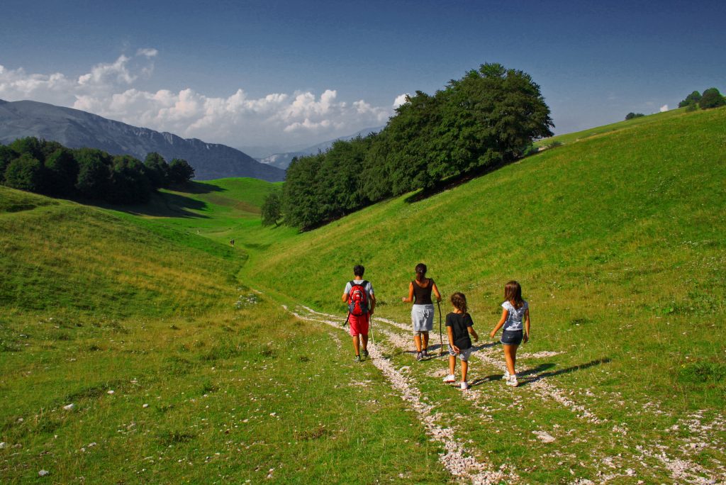Famiglia che passeggia in polsa in estate