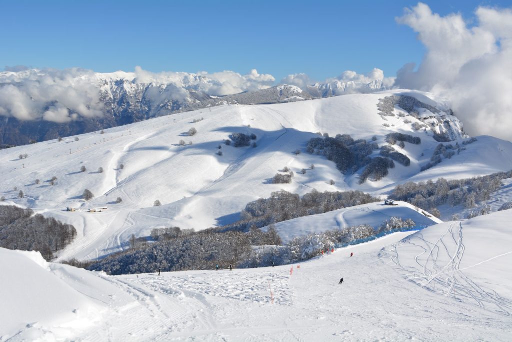 polsa sull'altipiano-di-brentonico in inverno